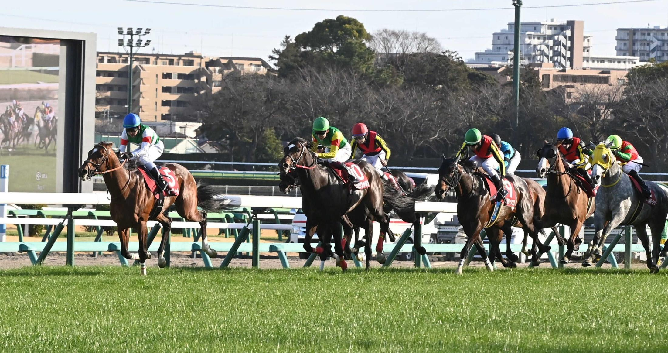 【中山記念】レーベンスティール　重賞５勝目！ゴールドシップ以来４年連続Ｇ２勝利　戸崎圭が成長と切れ味評価「昔より乗りやすくなった」