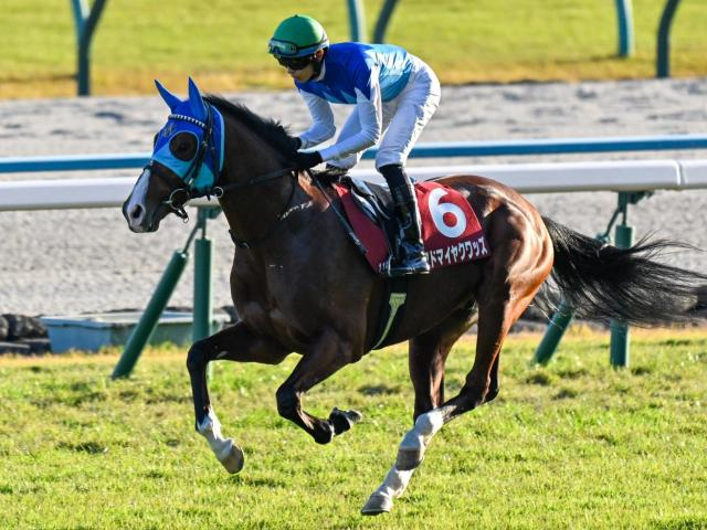 ドウデュースすら勝てなかった「弥生賞の1番人気」 血の後押しを味方にアドマイヤクワッズが勝利なるか