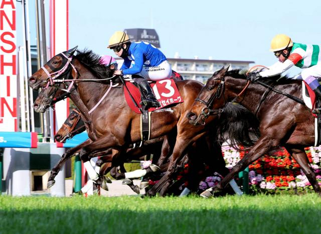 【チューリップ賞】「胸を張って」桜花賞へ!惜敗続きのタイセイボーグが重賞4度目の挑戦で待望のV