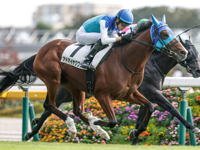 【弥生賞見どころ】前走で能力の高さを再認識できたアドマイヤクワッズ