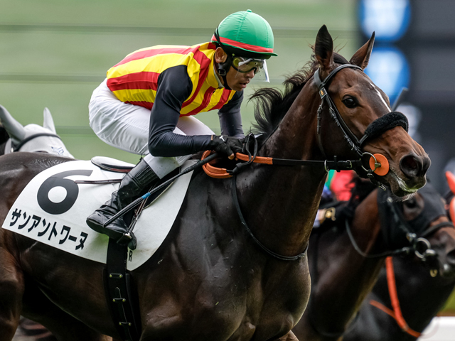 【フィリーズレビュー見どころ】ベストの距離で力を発揮するサンアントワーヌ