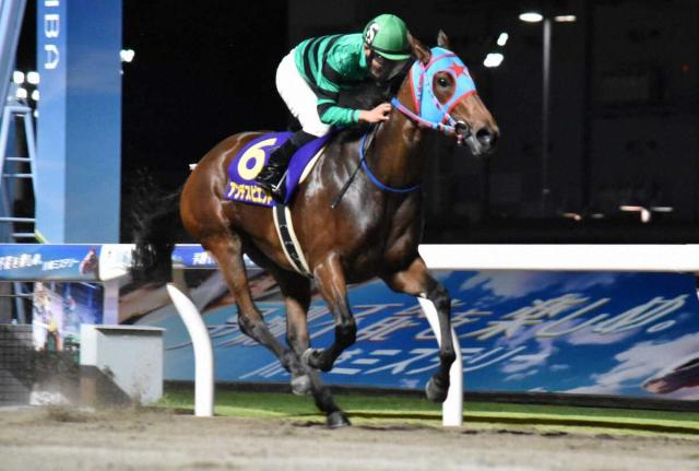 24年関東オークス覇者アンデスビエントが引退…レイクヴィラファームで繁殖入り　西園正師は3日に引退