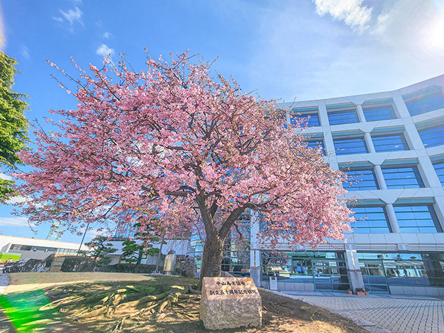 今年の新規開業厩舎を紹介 今週7名の調教師がデビュー