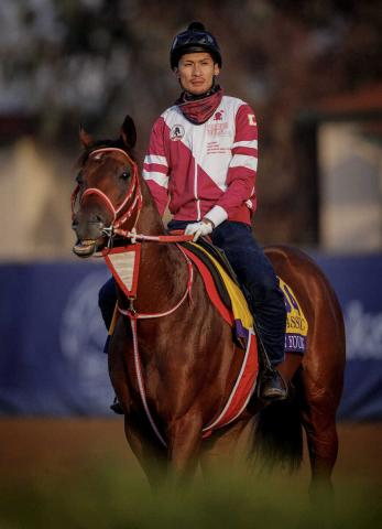 フォーエバーヤング&アメリカンステージがドバイ滞在の矢作厩舎　公式Xで人馬の無事を報告