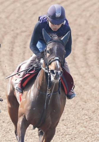 【中山牝馬S】エセルフリーダ　千八でも大丈夫　武藤師「中山で結果を出しているし楽しみ」