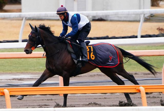 【弥生賞ディープ記念】ライヒスアドラー　飛び立つ　3歳馬充実　上原佑厩舎　皐月賞の権利獲りへ