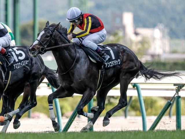 【中山牝馬S予想オッズ】アンゴラブラックが予想1番人気