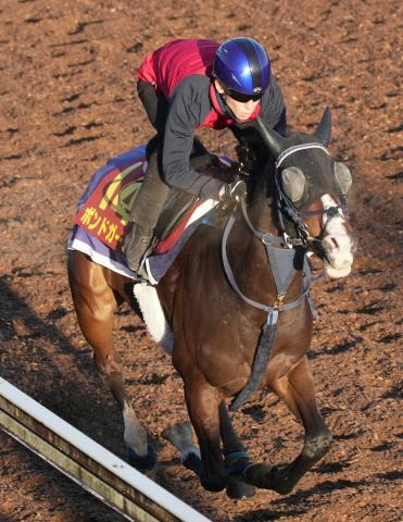 【中山牝馬S】前走好走のボンドガール　岩田康との新コンビ期待