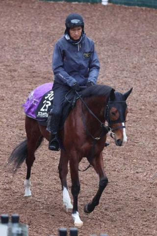 【弥生賞ディープ記念】アドマイヤクワッズ、2F延長大丈夫　状態も上向き