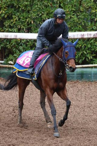 【フィリーズR】初陣Vの舞台でテイエムスティール　高橋一師「展開が向けば」