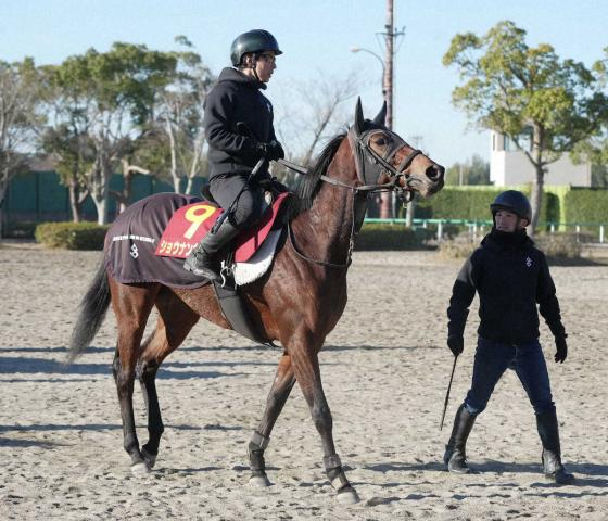 【フィリーズR】ショウナンカリス逆襲の春　桜切符へ　加藤士師「筋肉ついてきた」