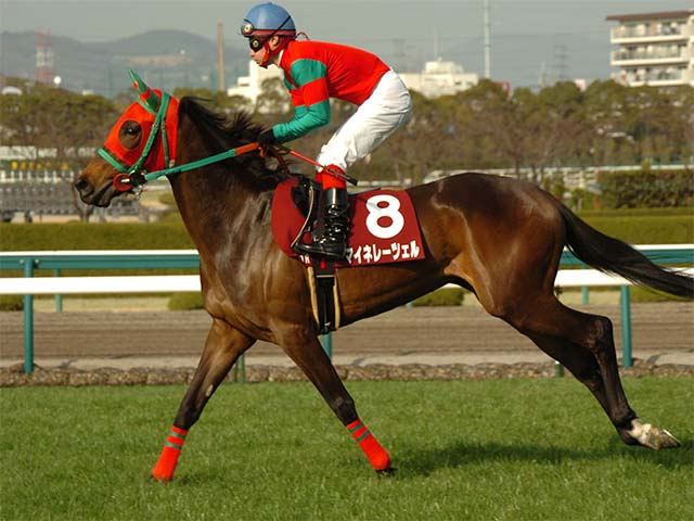 取引価格200万円の根性娘 「ラフィアンらしい名牝」マイネレーツェルの重賞初制覇を振り返る