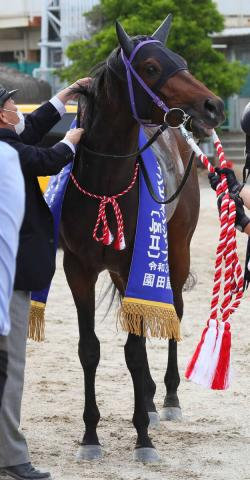 2021年の兵庫CSを制したリプレーザが競走馬登録抹消　今後は地方競馬に移籍する予定