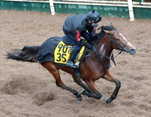 【中山牝馬S】実績上位のパラディレーヌが休養明けでも格好をつける　千田調教師「言い訳できるポジションにいない」