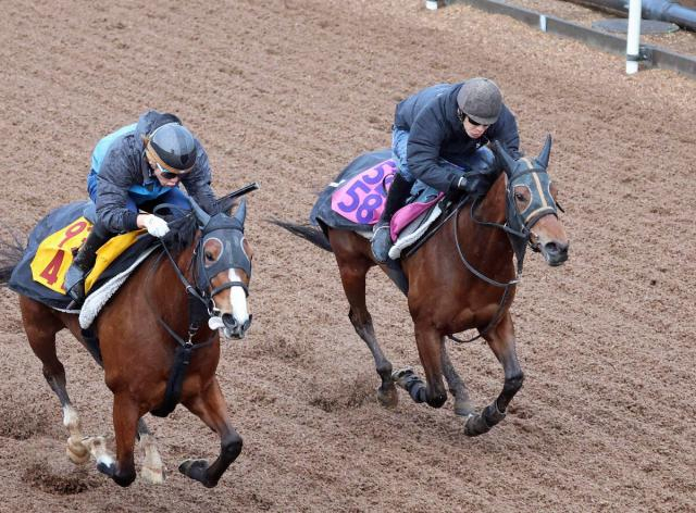 【報知杯FR】ショウナンカリス、阪神JF7着からの巻き返しへ水分を含んだ馬場を力強く駆け上がった