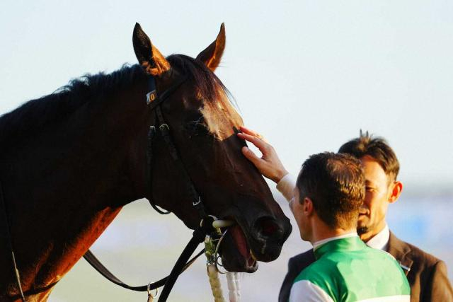 【弥生賞ディープ記念】パントルナイーフ　傷腫れで見送り　治療と回復に専念