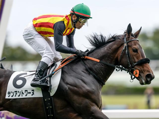 【週末情報】サンアントワーヌ外枠を克服して桜花賞へ…鹿戸師も自信「切れる脚使えそう」/馬三郎のつぶやき