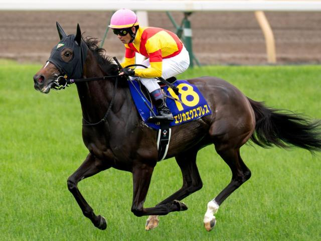 中山芝はまだまだ前有利 武豊騎手＆エリカエクスプレスの押し切りだ