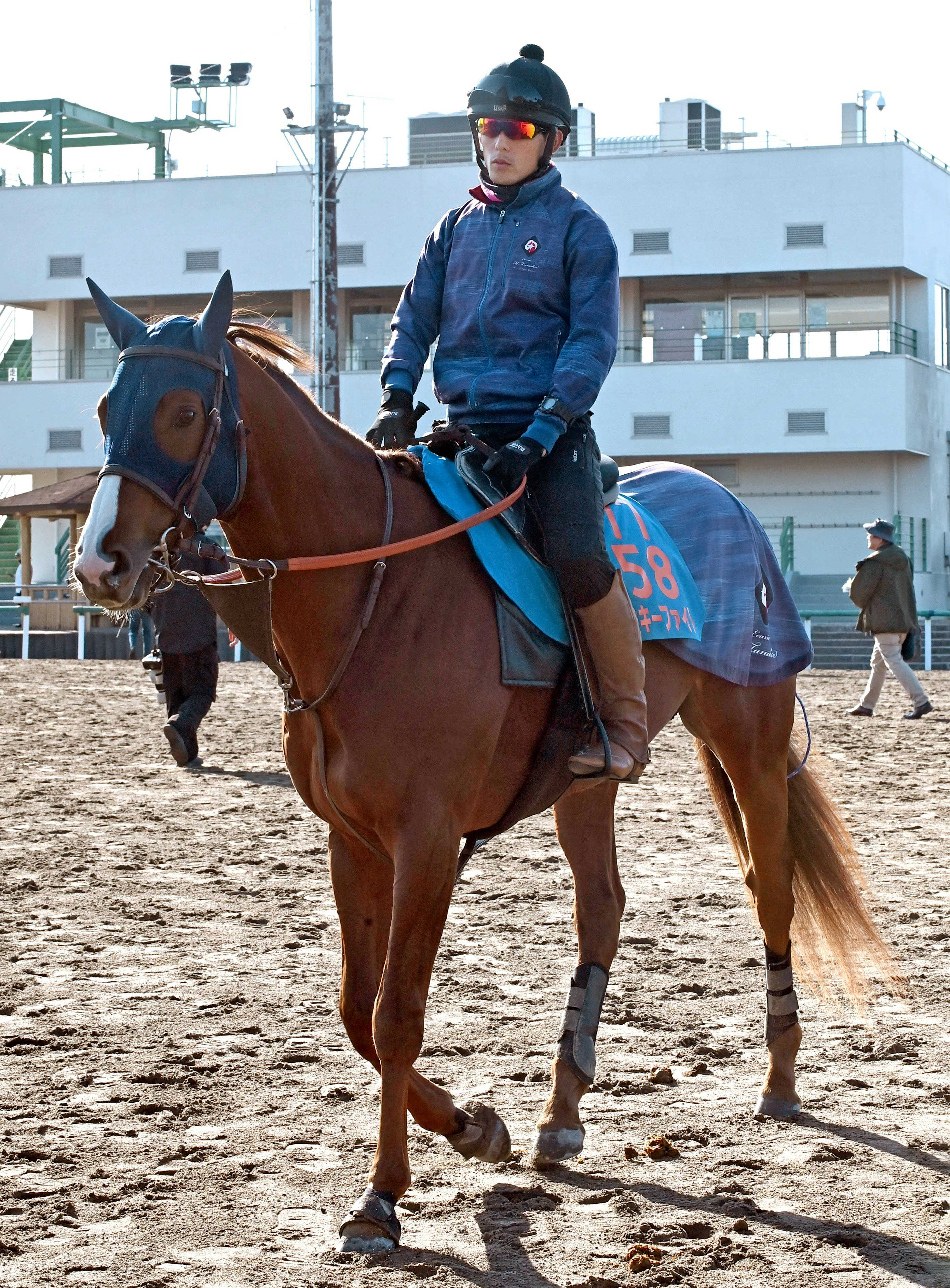 ミッキーファイトはドバイ遠征見送りへ　川崎記念とかしわ記念の２択