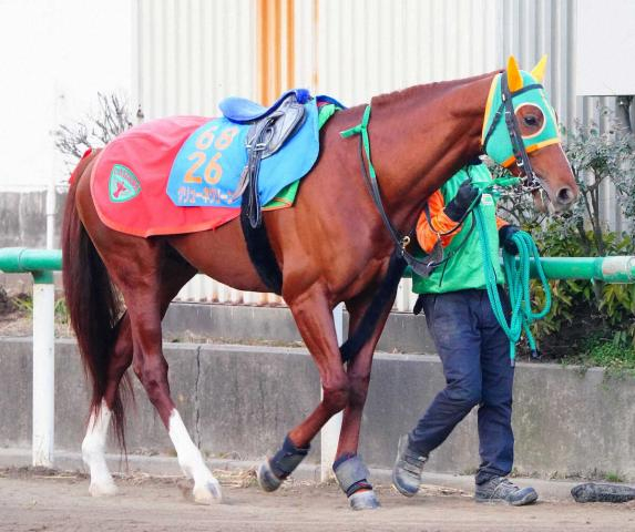 22年京都2歳S覇者グリューネグリーンが引退…乗馬に　祖母はオークス馬ウメノファイバー