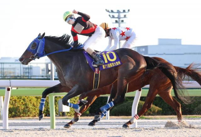 【注目馬動向】緊迫する中東情勢の影響でディクテオンはドバイ遠征取りやめ　昨年の東京大賞典勝ち馬は川崎記念を視野