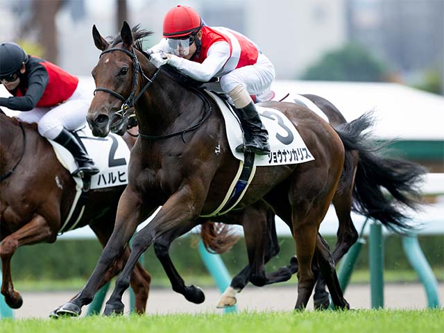 フィリーズレビュー当日の阪神芝は良に回復 内〜中枠の末脚タイプを狙おう