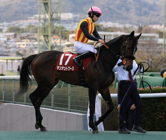阪神11Rフィリーズレビュー　サンアントワーヌは2着　荻野極「上手に走ってくれました」