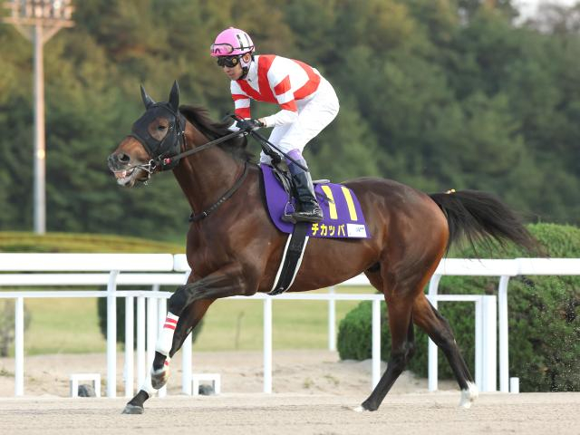 【大井・フジノウェーブ記念枠順】JRAから転入初戦のチカッパは1枠1番