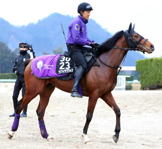 【報知杯弥生賞】前日の単勝1番人気はアドマイヤクワッズの2・4倍　ライヒスアドラーが2・5倍で2番人気