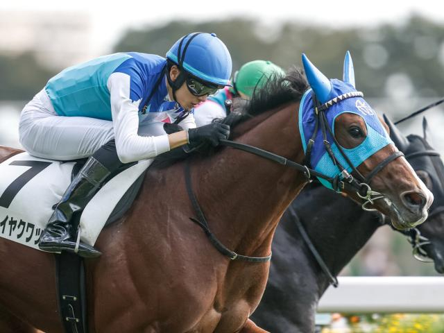 【AI予想・弥生賞】前走が負けて強しと言える走り！ 出走馬の中で唯一の重賞勝ち馬に人工知能も逆らえず