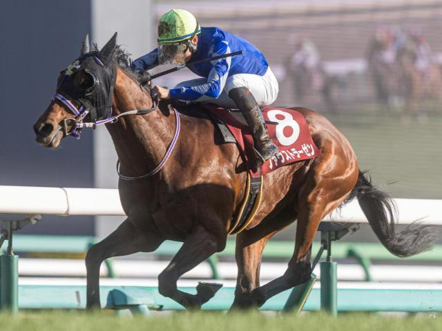 弥生賞は8枠に注意 人気薄でも押さえるべき条件とは