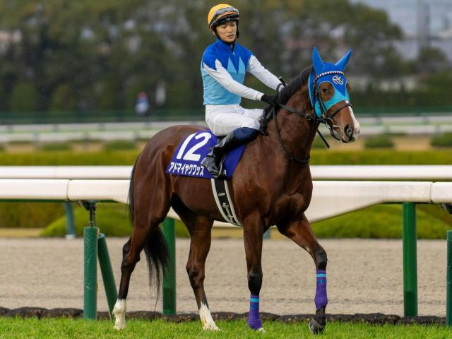 【弥生賞予想】狙える「枠」「前走」「脚質」は？ 過去データから探るGII弥生賞