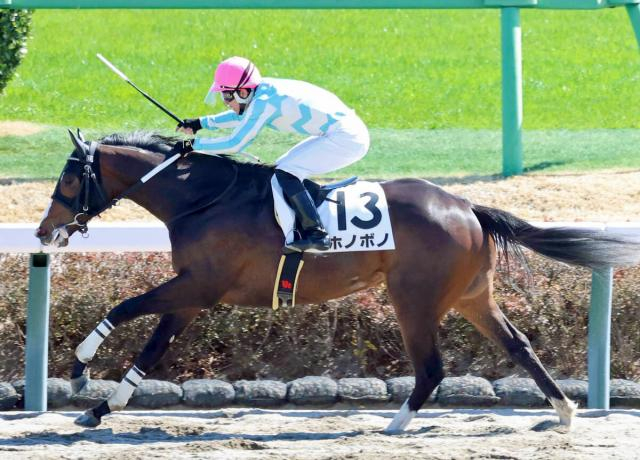 「ガシガシ追われてて...」「名前に反して」容赦ない圧勝劇見せた未勝利馬にネット爆笑　中山3Rのホノボノ　　