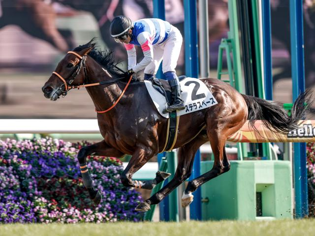 弥生賞は展開利が見込めるステラスペースに注目