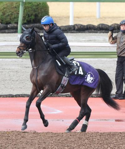 【弥生賞ディープインパクト記念】バステール　直線鋭く差し切り重賞初V　皐月賞の優先出走権獲得