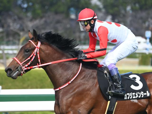 【アルメリア賞レース後コメント】カフジエメンタール武豊騎手ら