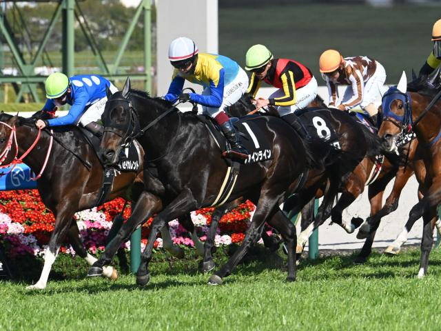 【岸和田Sレース後コメント】ファインライン鮫島克駿騎手ら