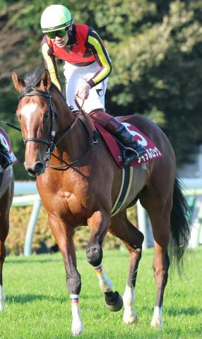 【報知杯弥生賞】タイダルロックは4着で皐月賞の優先出走権に届かず　三浦皇成騎手「ちょっとモタついて…」