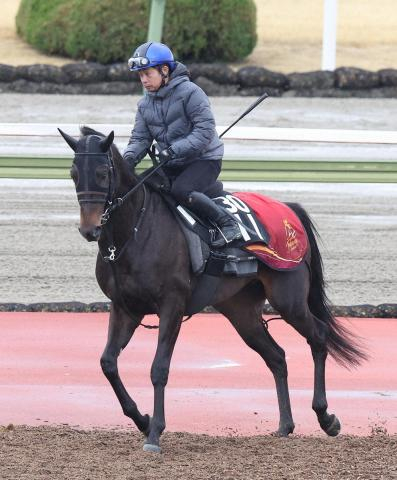 【スプリングS】アスクエジンバラ　実績で一歩リード　重賞初Vの好機到来
