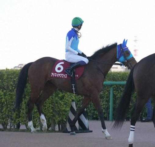 【弥生賞ディープ記念】アドマイヤクワッズ3着　本番でリベンジ誓う　坂井「使って良くなると思う」