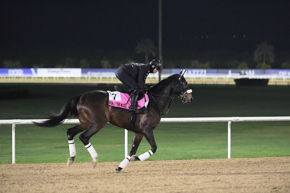 ケイアイアギトがドバイのＵＡＥダービー参戦自重　ドンインザムードはゴドルフィンＭの出走辞退