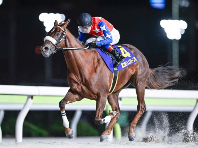 【船橋・ネクストスター東日本枠順】前走重賞Vのベイビークエストは1枠1番