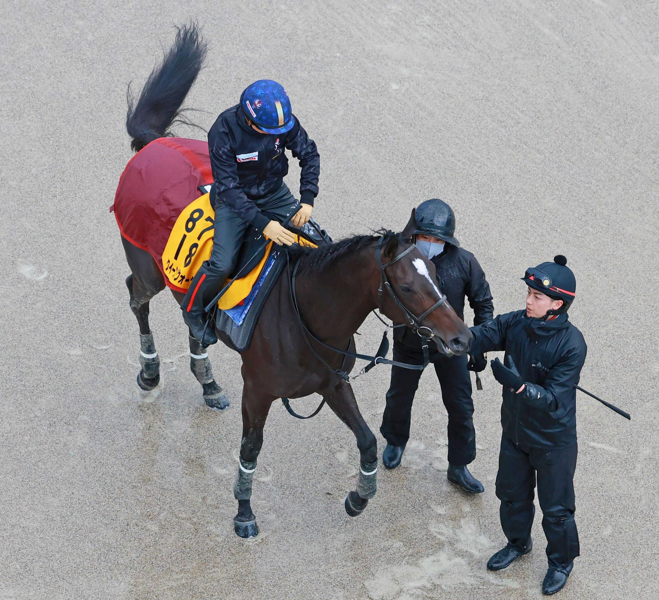 【金鯱賞】クイーンズウォーク　連覇へベスト舞台　中京１０Ｆは２戦２勝　全項目クリア＆減点１なしの大混戦で唯一の減点２