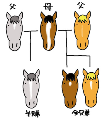 断言します。競馬の血統は意味がありません