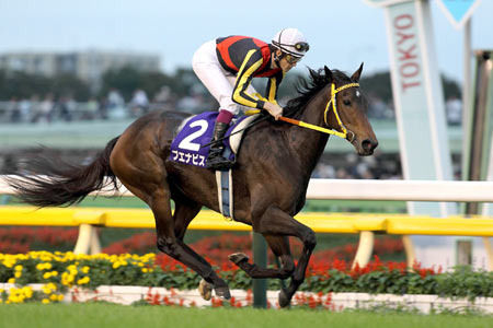 さてそろそろブエナビスタは顕彰馬になれるのか