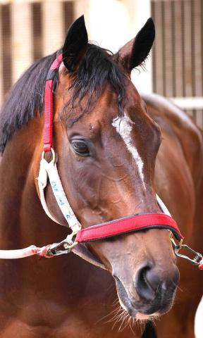 ウマ娘にラヴズオンリーユー&マルシュロレーヌ登場に「いきなり来やがった」「胸熱」「同時に!」ネットは大盛り上がり　