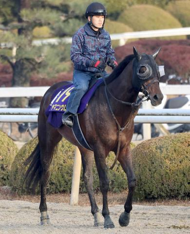 【注目馬動向】ヤマニンウルスはハンデ次第でポラリスSへ　登録している黒船賞は除外対象