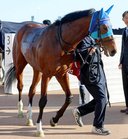 【注目馬動向】報知杯弥生賞3着のアドマイヤクワッズは皐月賞へ　友道調教師はVなら現役単独最多の3勝目