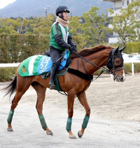 【金鯱賞】堅実派のシェイクユアハートが重賞2勝目を狙う　陣営「2000メートルの方がいいと思います」