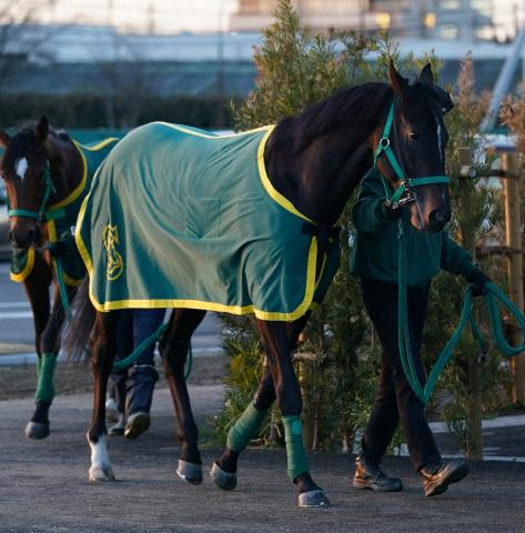 【スプリングS】ジーネキング　千八ベストだ!　父コントレイルに重賞初V届ける「変わらず順調」